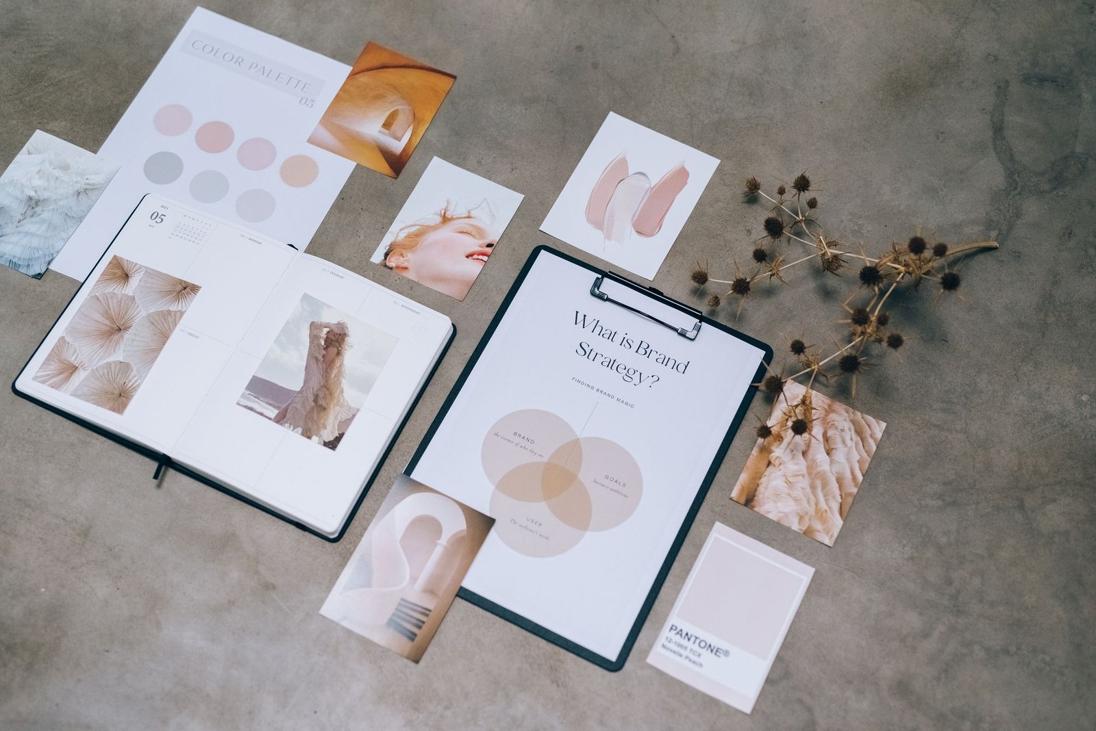 Designer building a branding Edmonton colour palette and brand guide